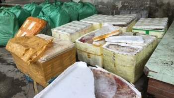 Nghệ An: Tiêu hủy 1.174kg sản phẩm động vật không rõ nguồn gốc xuất xứ
