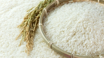 Giá gạo hôm nay 24/4: Không có biến động
