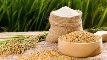 Giá gạo hôm nay 29/4: Ổn định