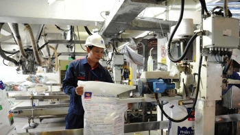 Giá phân bón tăng mạnh 30%