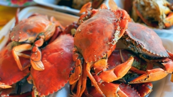 Bảo hộ chỉ dẫn địa lý cho ”Cua biển Bến Tre”