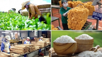 Xuất khẩu nông lâm thủy sản quý I/2022 ước đạt 12,8 tỷ USD