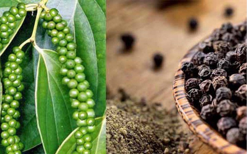 Cập nhật giá hồ tiêu hôm nay 3/4/2022: Một tuần lặng sóng