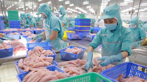 Cơ hội vàng cho Việt Nam xuất khẩu cá tra sang Anh