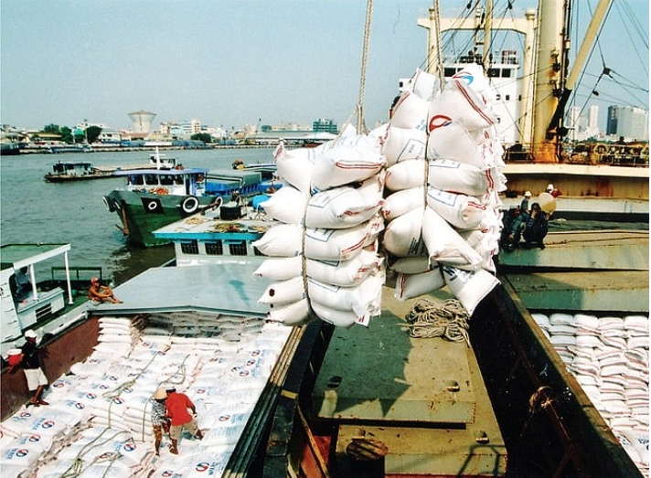 Gạo được đánh giá là một trong những mặt hàng xuất khẩu đầy tiềm năng vào khu vực thị trường Bắc Âu nhờ những ưu đãi giảm thuế từ Hiệp định EVFTA.