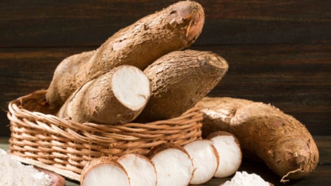 Xuất khẩu sắn và sản phẩm từ sắn quý I/2022 đạt hơn 413 triệu USD