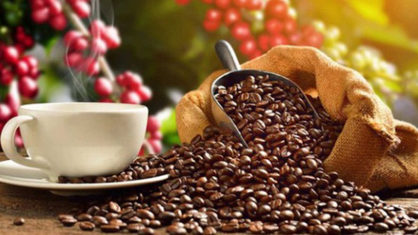 Algeria – Thị trường tiềm năng cho hàng nông sản, thực phẩm