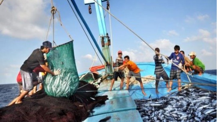 Phê duyệt Chương trình điều tra, đánh giá tổng thể nguồn lợi thủy sản