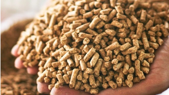 Xuất khẩu thức ăn chăn nuôi và nguyên liệu sang Mỹ tăng mạnh