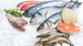 Nhập khẩu thủy sản nhiều nhất từ Ấn Độ