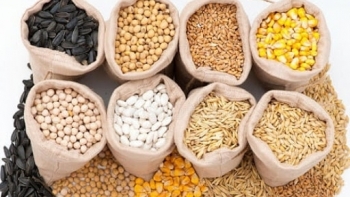 Nhập khẩu thức ăn chăn nuôi tăng hơn 50% trong quý I/2021