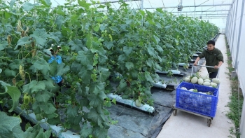 Hoàn thiện kế hoạch phát triển kinh tế tập thể, hợp tác xã