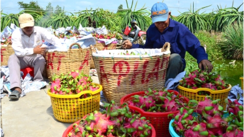 Bộ NN&PTNT kiến nghị các địa phương tạo điều kiện lưu thông nông sản