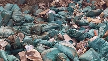 Lạng Sơn: Tiêu hủy lô chân gà đông lạnh 19 tấn đã hư hỏng