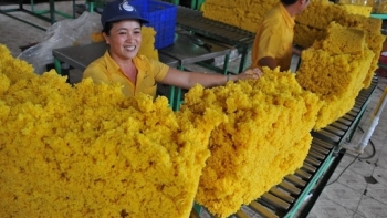 Xuất khẩu cao su tăng vọt