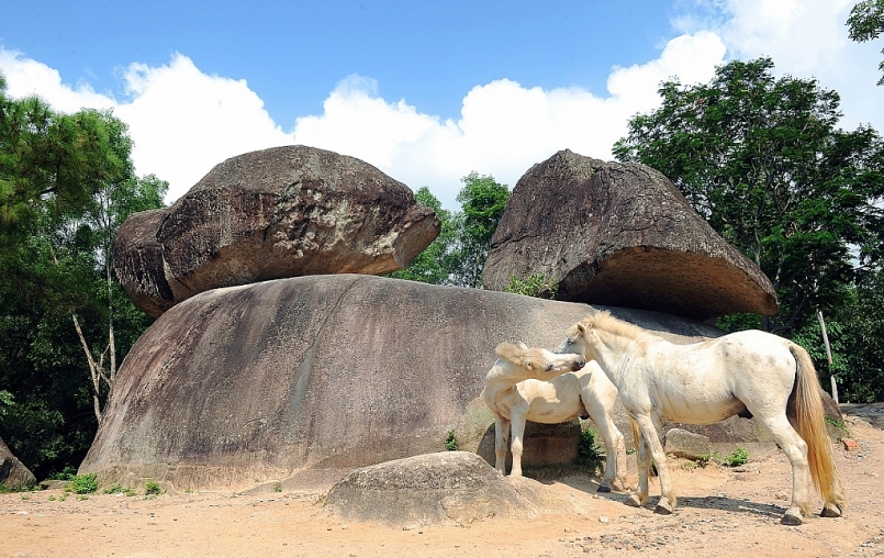 Hòn Trống Mái, Sầm Sơn