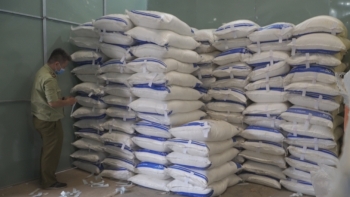 TP. HCM: "Đột kích" bãi xe, phát hiện gần 150 tấn đường nghi nhập lậu