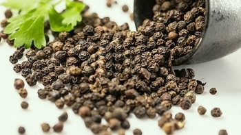 Giá hồ tiêu hôm nay 22/5: Đi ngang