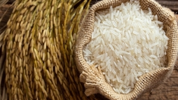 Giá gạo hôm nay 23/5: Cuối tuần ổn định