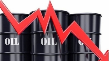 Giá xăng dầu hôm nay 23/5: Sụt giảm khoảng 3% trong tuần