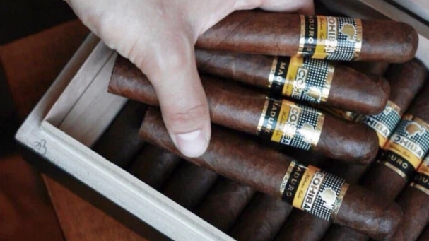 Cục Hàng không Việt Nam yêu cầu tăng cường chống buôn lậu xì gà