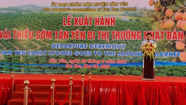 Xuất khẩu vải thiều sang Nhật Bản có triển vọng tốt