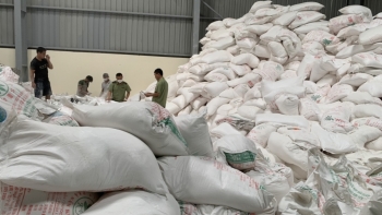 Hải Phòng: Bắt quả tang trên 50 tấn tinh bột sắn có dấu hiệu giả mạo nguồn gốc