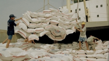 Cảnh báo tình trạng giả mạo xuất xứ gạo Việt