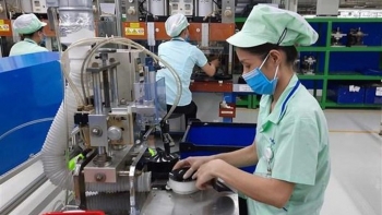 Cả nước có 11,6 nghìn doanh nghiệp thành lập mới trong tháng 5