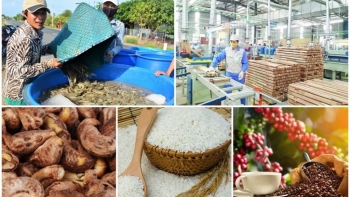 Việt Nam xuất siêu 3,27 tỷ USD hàng nông sản trong 5 tháng