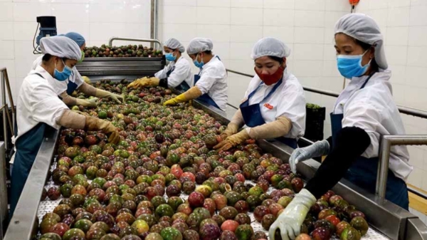 Nhiều cơ hội đưa hàng nông sản, thực phẩm Việt Nam thâm nhập thị trường Ba Lan