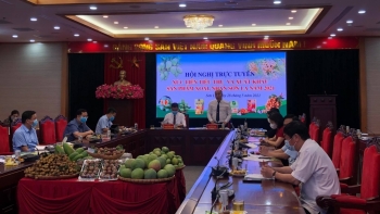 Xoài, nhãn Sơn La lên sàn thương mại điện tử