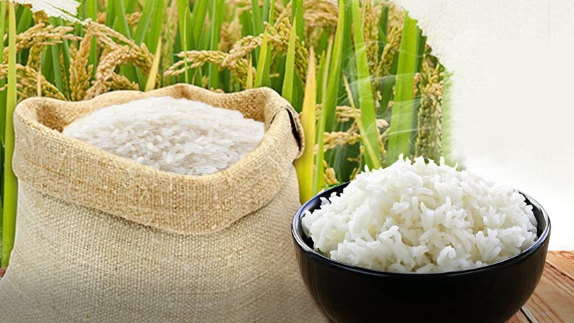 Giá gạo hôm nay 31/5: Giảm mạnh