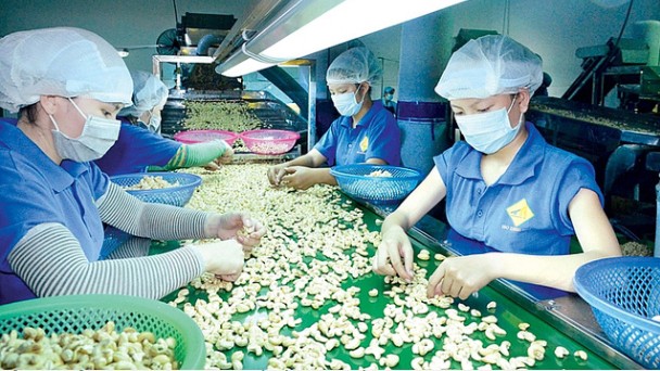 Nghiên cứu phản ánh về rủi ro lừa đảo trong xuất khẩu nông sản