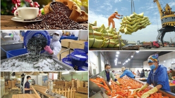 Xuất khẩu nông lâm thủy sản đạt gần 17,9 tỷ USD