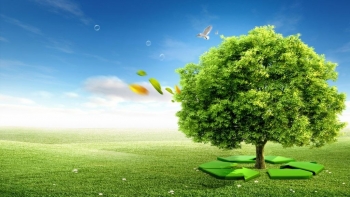 Tiếp tục thực hiện tốt các hoạt động giám sát về môi trường đối với các cơ sở, dự án lớn