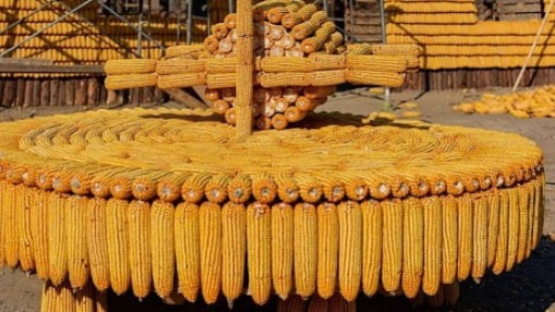 Giá nguyên liệu thức ăn chăn nuôi nhập khẩu tăng mạnh