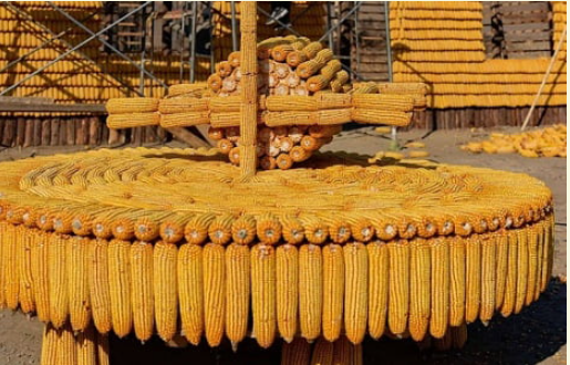 Giá nguyên liệu thức ăn chăn nuôi nhập khẩu tăng mạnh Giá nguyên liệu thức ăn chăn nuôi nhập khẩu tăng mạnh