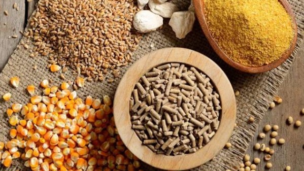 Nhập khẩu thức ăn gia súc và nguyên liệu giảm