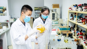 Đề xuất khoán chi thực hiện nhiệm vụ khoa học và công nghệ