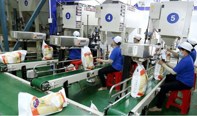 Philippines vẫn đứng đầu về tiêu thụ gạo của Việt Nam