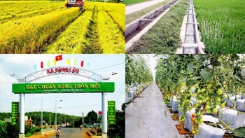 Tổ chức Phong trào thi đua “Cả nước chung sức xây dựng nông thôn mới” giai đoạn 2021 – 2025