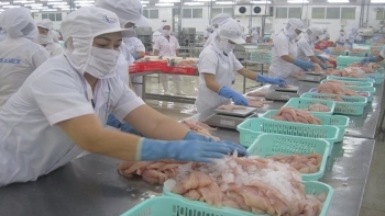 FSIS công nhận thêm 6 nhà máy chế biến cá tra được xuất khẩu vào Mỹ