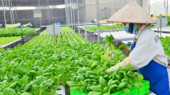 Doanh nghiệp, hợp tác xã, hộ kinh doanh được hỗ trợ lãi suất 2%/năm