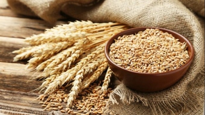 Việt Nam nhập khẩu trên 1,55 triệu tấn lúa mì trong 4 tháng