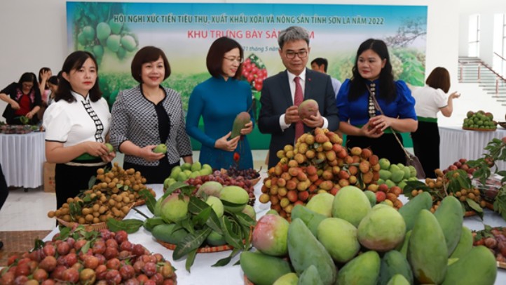 Nhiều hoạt động tại Festival trái cây và sản phẩm OCOP Việt Nam tại Sơn La