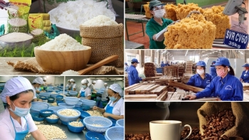 Ngành nông nghiệp xuất siêu gần 5,1 tỷ USD