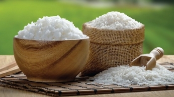 Giá gạo hôm nay 1/6: Xu hướng giảm mạnh