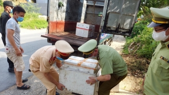 Phú Thọ: Ngăn chặn kịp thời trên 100 kg lòng lợn đã bốc mùi hôi thối