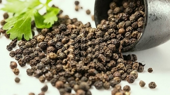 Giá hồ tiêu hôm nay 6/6: Đi ngang tại các vùng trồng trọng điểm